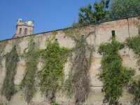 Padova_26052005_011