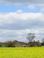2006-04-29--15.30.25_Autour-de-Sully-sur-Loire_023