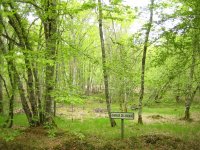 2006-05-01--12.06.08_Autour-de-Sully-sur-Loire_092