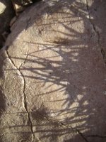 2006-12-09--15.14.31_Marseille_Calanques_073