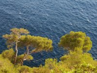 2006-12-09--17.06.06_Marseille_Calanques_114