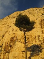 2006-12-09--17.22.46_Marseille_Calanques_125