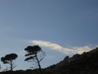 2006-12-10--16.40.27_Marseille_Calanques_188