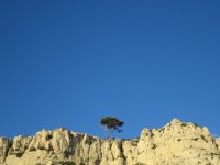 2006-12-10--16.52.33_Marseille_Calanques_191