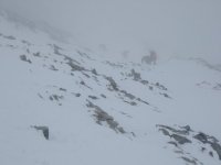 2005-03-28--12.48.30_Gran_Zebru_028