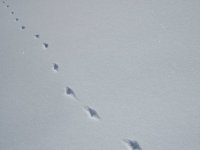 2006-01-15--12.39.41_Stage_CAF_Nivo_Bonneval_036