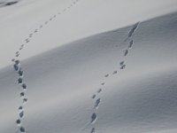 2006-01-22--13.58.06_Stage_CAF_Carto_Chablais_062