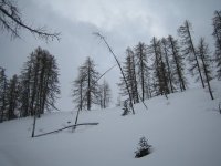 2006-02-18--13.19.02_La_Ratelle_013