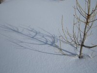 2006-02-18--14.26.52_La_Ratelle_033