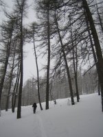 2006-02-19--09.49.01_Tete_de_Fouran_004