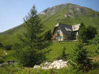 2007-08-01--16.31.19_Lautaret-Jardin-Alpin_054