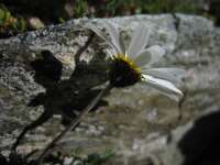 2007-07-30--14.19.04_Soreiller_077