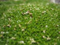 2007-07-30--15.20.59_Soreiller_085