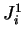 $ J^1_i$