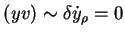 $ (yv) \sim \delta \dot{y}_\rho = 0$