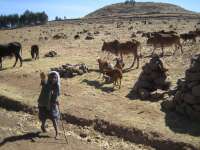 2007-12-30--09.16.09_ixus_Ethiopie_181