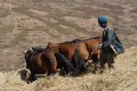 2007-12-31--09.45.09_D200_Ethiopie_076