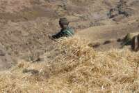 2007-12-31--09.53.43_D200_Ethiopie_081