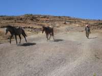 2007-12-31--11.55.51_ixus_Ethiopie_304