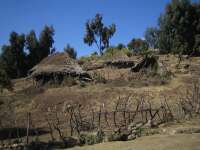 2007-12-31--12.39.55_ixus_Ethiopie_317