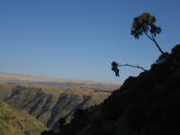 2007-12-30--14.33.09_ixus_Ethiopie_207