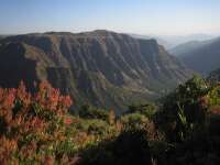 2007-12-30--14.55.03_ixus_Ethiopie_209