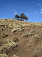 2007-12-31--12.53.17_ixus_Ethiopie_323