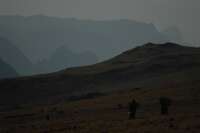 2007-12-31--14.11.13_D200_Ethiopie_105