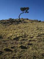 2007-12-31--14.34.25_ixus_Ethiopie_334