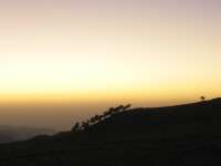 2007-12-31--16.32.19_ixus_Ethiopie_350