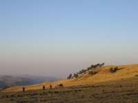 2008-01-01--05.11.48_ixus_Ethiopie_358
