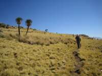 2008-01-01--08.00.38_ixus_Ethiopie_373