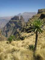 2008-01-01--10.24.26_ixus_Ethiopie_395