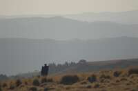 2008-01-01--14.44.00_D200_Ethiopie_171