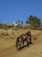 2007-12-29--06.42.23_ixus_Ethiopie_031