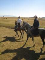 2007-12-29--13.03.59_ixus_Ethiopie_148